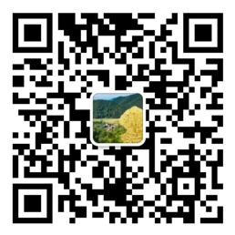 凤凰彩票网登录ww
